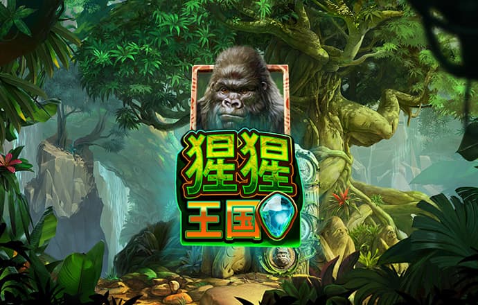 350vip浦京集团